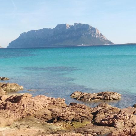 Aria Di Vacanza - Gelsi Όλμπια Εξωτερικό φωτογραφία