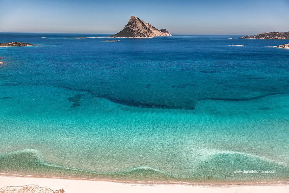 Aria Di Vacanza - Gelsi Όλμπια Εξωτερικό φωτογραφία