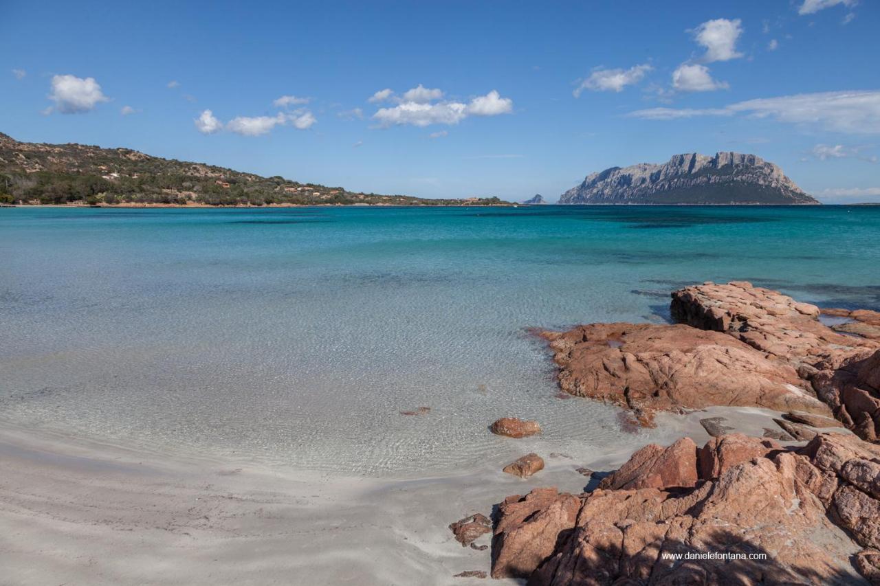 Aria Di Vacanza - Gelsi Όλμπια Εξωτερικό φωτογραφία