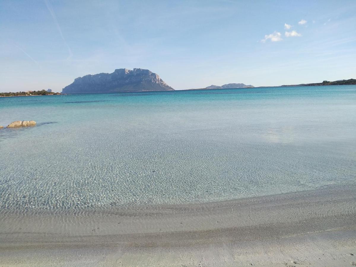Aria Di Vacanza - Gelsi Όλμπια Εξωτερικό φωτογραφία