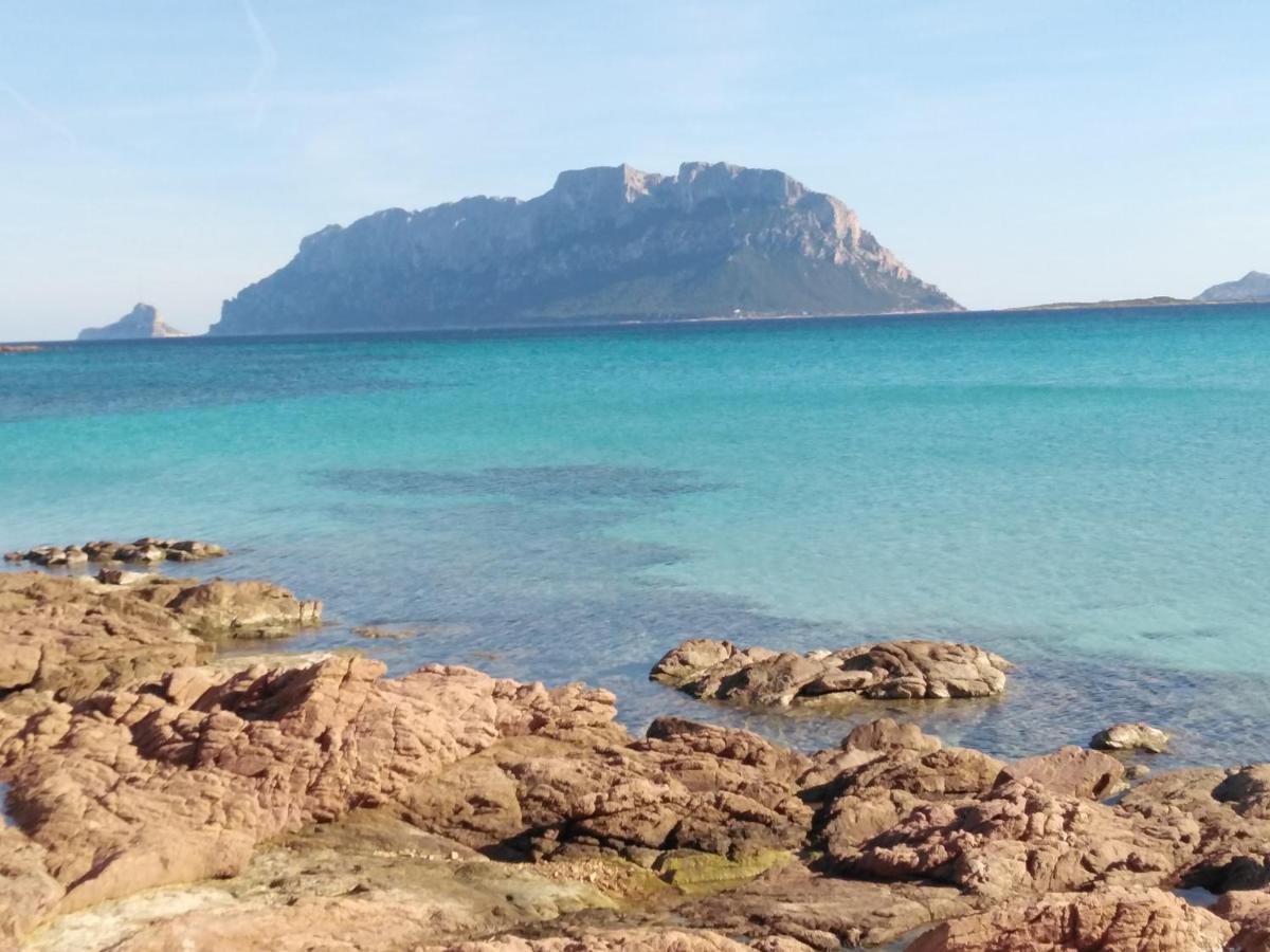 Aria Di Vacanza - Gelsi Όλμπια Εξωτερικό φωτογραφία
